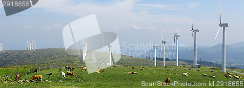 Image of Wind farm