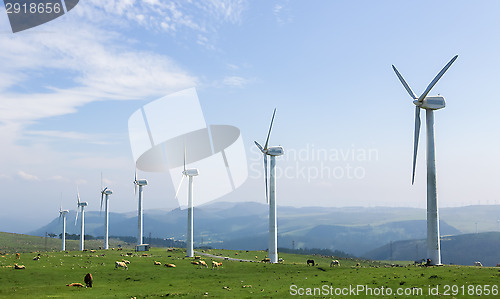 Image of Wind farm