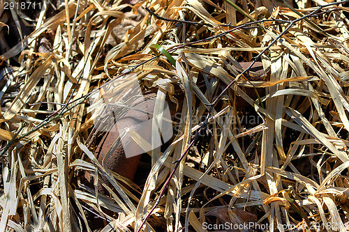 Image of Rusted pipe