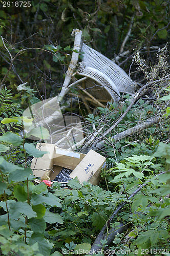 Image of Junk in the forest