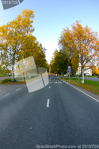 Image of Autumn colors