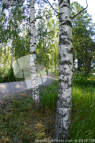 Image of Road