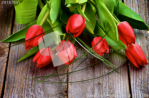 Image of Red Tulips