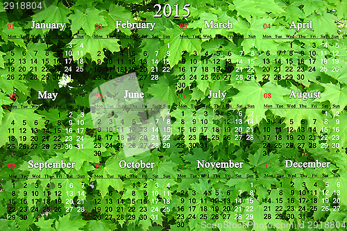 Image of calendar for 2014 - 2017 years and green leaves of maple