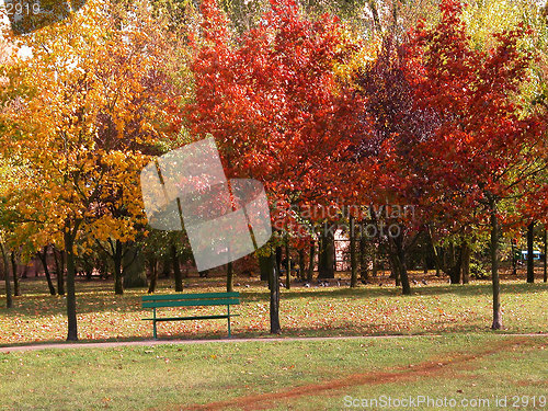 Image of autumn