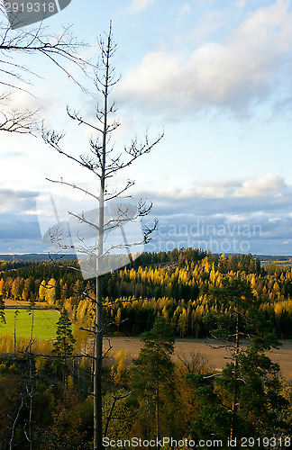 Image of Fall colors