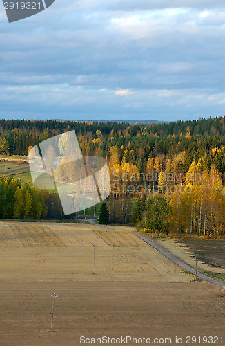 Image of Wheatfield