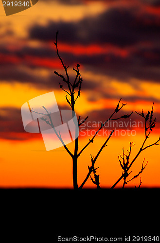 Image of Sunset