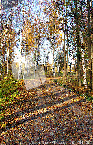 Image of Road