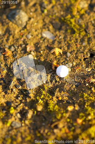 Image of Plastic ball