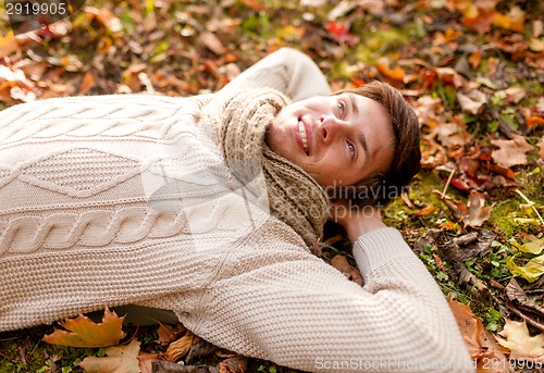 Image of close up of smiling young man lying in autumn park