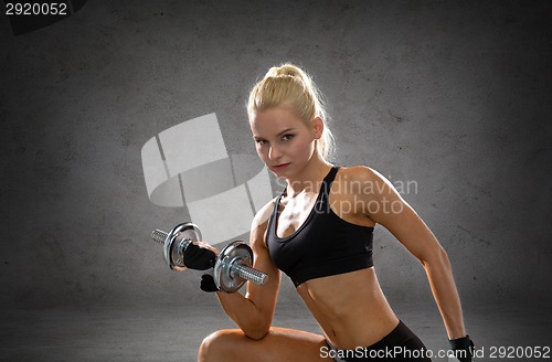 Image of sporty woman with heavy steel dumbbells