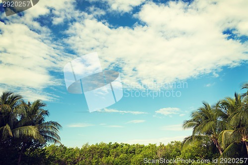 Image of green forest and cloudy blue sky