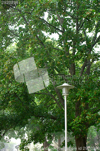 Image of Light tower
