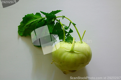 Image of Kohlrabi