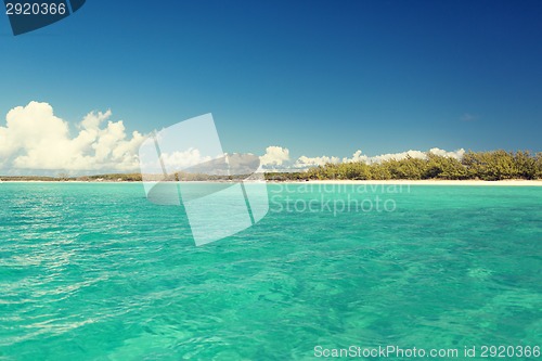 Image of blue sea or ocean, beach and forest