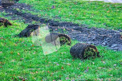 Image of Lawn