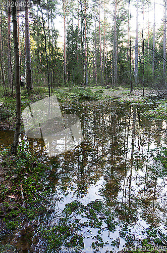 Image of Landscape