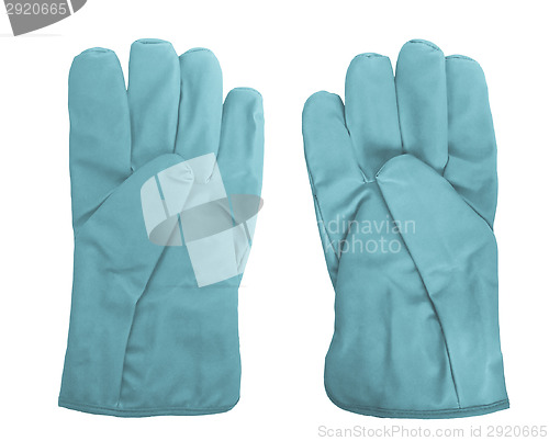 Image of Gloves picture