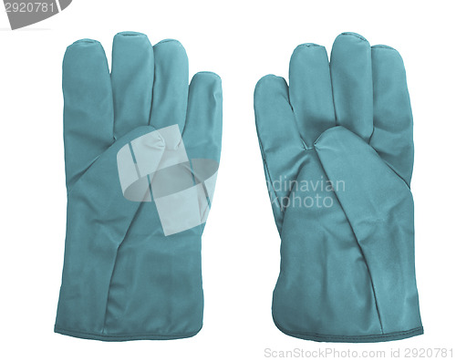 Image of Gloves picture