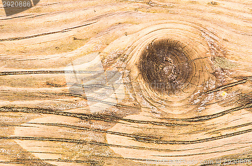 Image of Plank