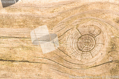 Image of Plank