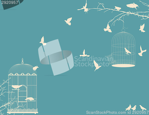 Image of Birds and birdcages postcard 9