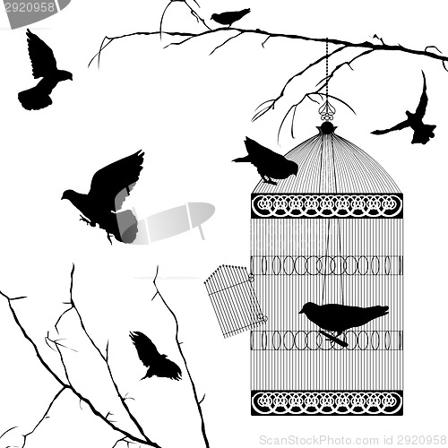 Image of Fyling birds and cage silhouettes