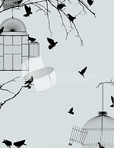 Image of Birds and birdcages postcard 2