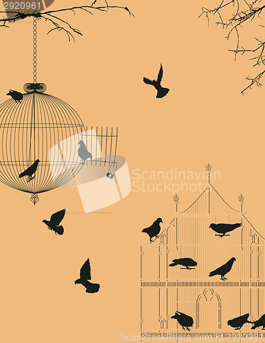 Image of Birds and birdcages postcard 3