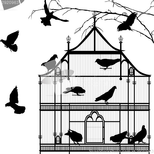 Image of Birds and birdcage graphic