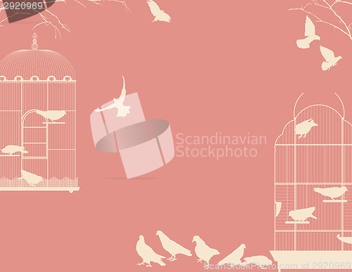 Image of Birds and birdcages postcard 4