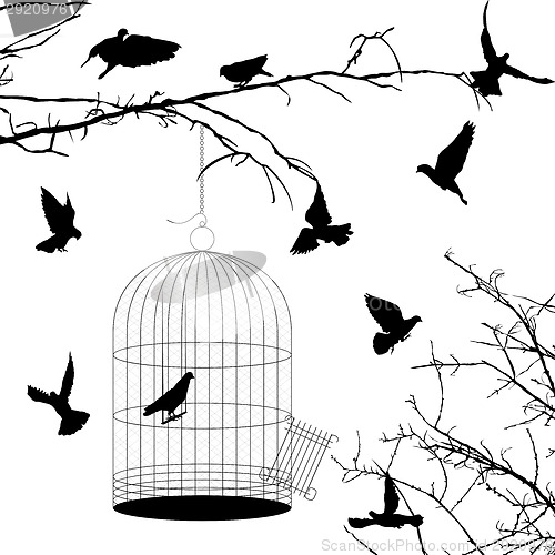 Image of Birds and cage silhouettes