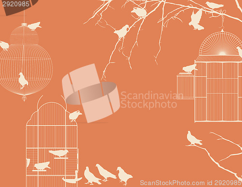 Image of Birds and birdcages postcard 6