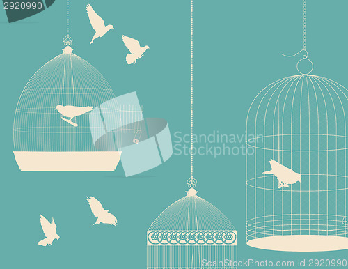 Image of Birds and birdcages postcard 5