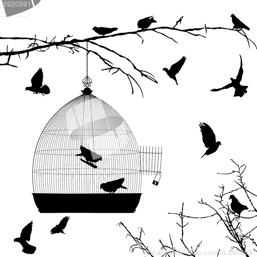 Image of Birds silhouettes and bird cage