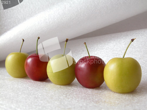 Image of plums