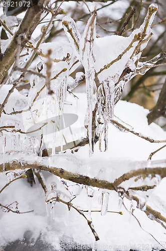 Image of Icicles