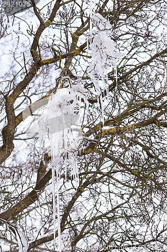 Image of Icicles