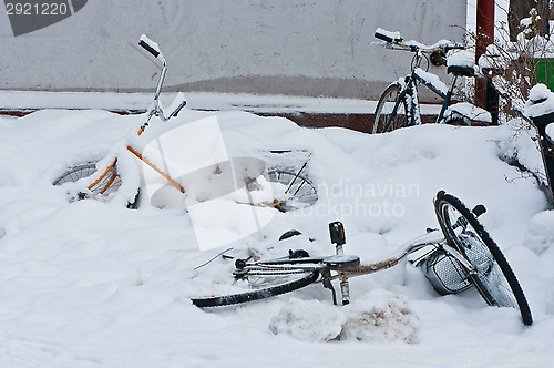 Image of Bicycles