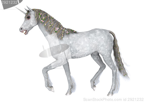 Image of White Unicorn