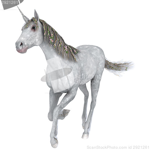 Image of White Unicorn