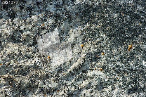 Image of Rock