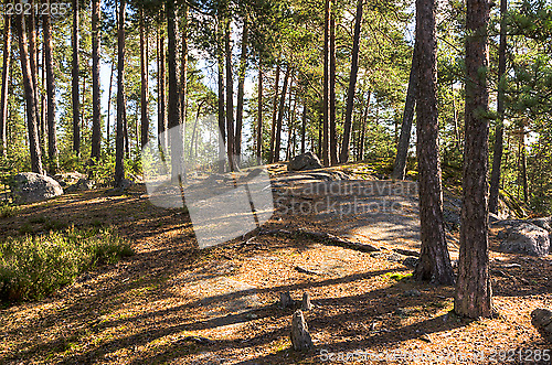 Image of Landscape