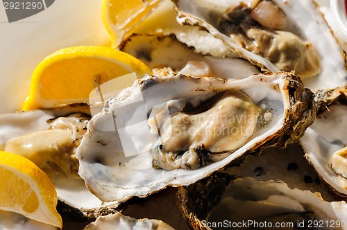 Image of oysters plate