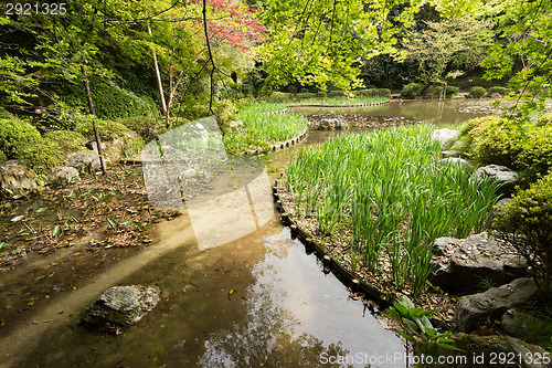 Image of The scenery of green grass gardening in the pond.