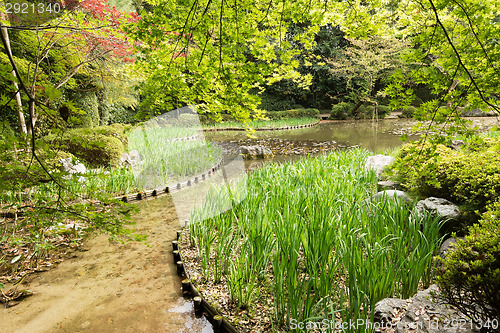 Image of The scenery of green grass gardening in the pond.
