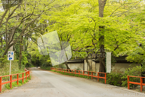 Image of boulevard near Shimogamo Shrine