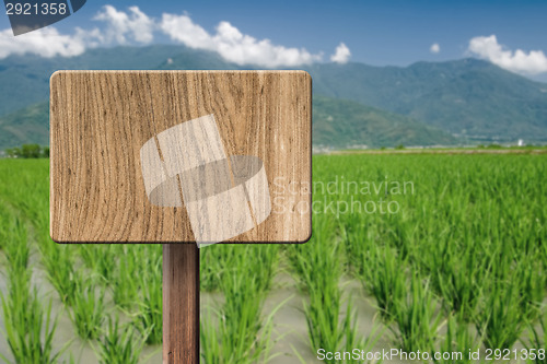 Image of Blank wooden sign