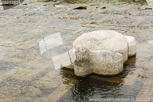 Image of stone tortoise in Kamogawa